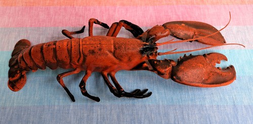 Xxl hummer meerestier lobster - meerestier,